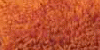 Bio Frottee Gaeste Handtuch 30x50 terra Bio Frottee Gaeste Handtuch 30x50 terra